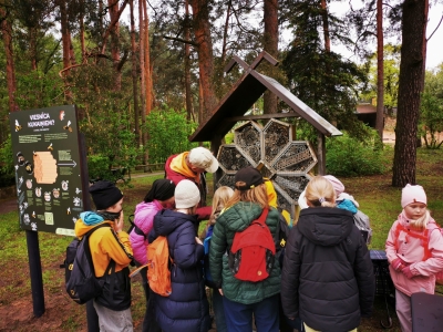 Pārdaugavas Montesori sākumskola "Bišu draugs" - kukaiņu viesnīca.